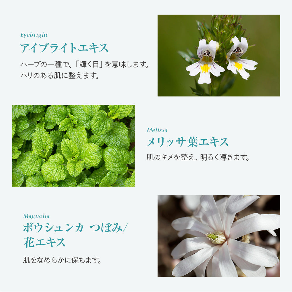 【送料無料】【フェミニンウォッシュ】黒ずみ*集中ケアセット*汚れや古い角質による_CP デリケートゾーンケア商品 サマーズイブ Summer's Eve