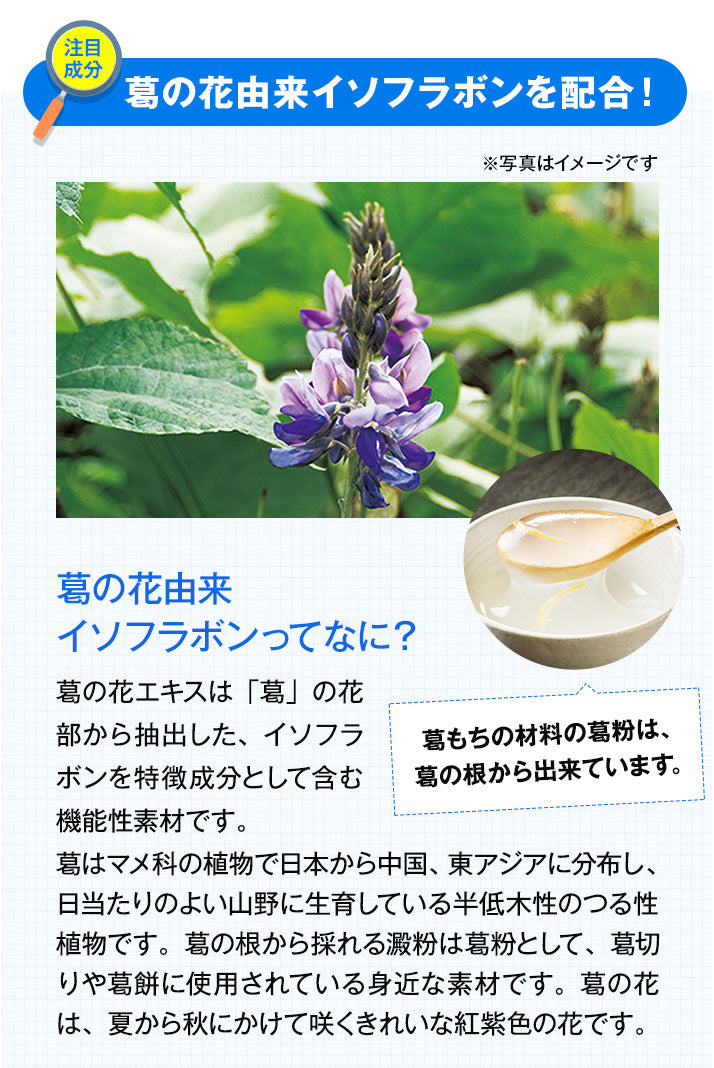 【サプリメント】önaka(おなか) 30日分_CP PILLBOX SUPPLEMENTS ピルボックスサプリメント