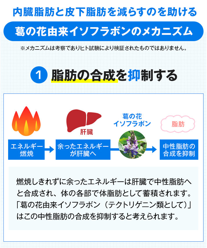 【サプリメント】önaka(おなか)_CP PILLBOX SUPPLEMENTS ピルボックスサプリメント