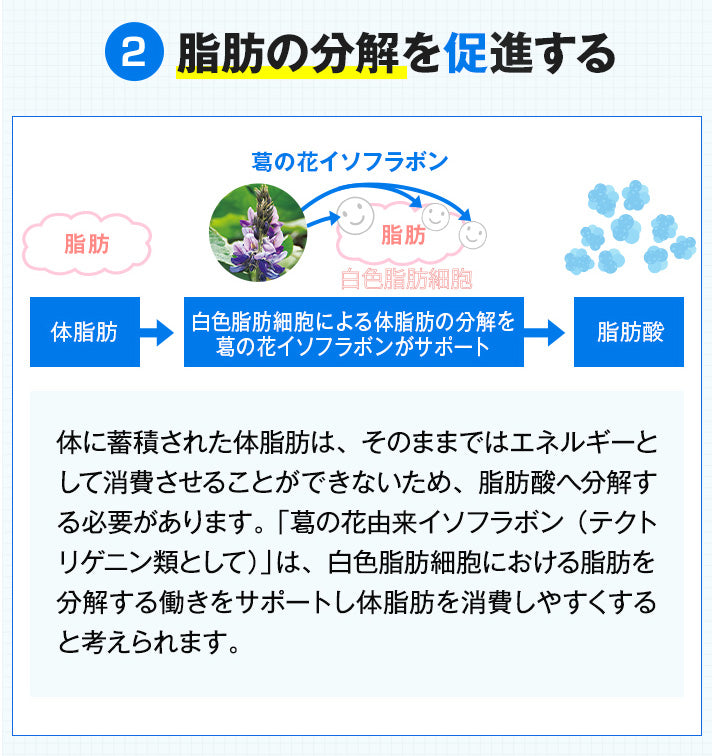 【サプリメント】önaka(おなか) 30日分_CP PILLBOX SUPPLEMENTS ピルボックスサプリメント