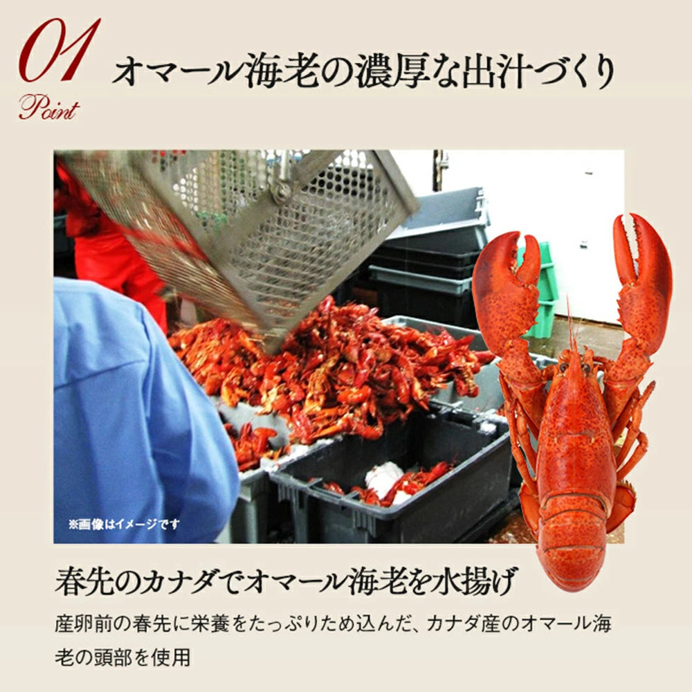 【お試し価格】オマール海老のビスク 3食セット お試し フリーズドライ 即席 保存食 スープ野菜 PILLBOX ピルボックス カップスープ ギフト ステイホームのストックにも最適 味噌汁替わりの朝ごはんにも 常温保存