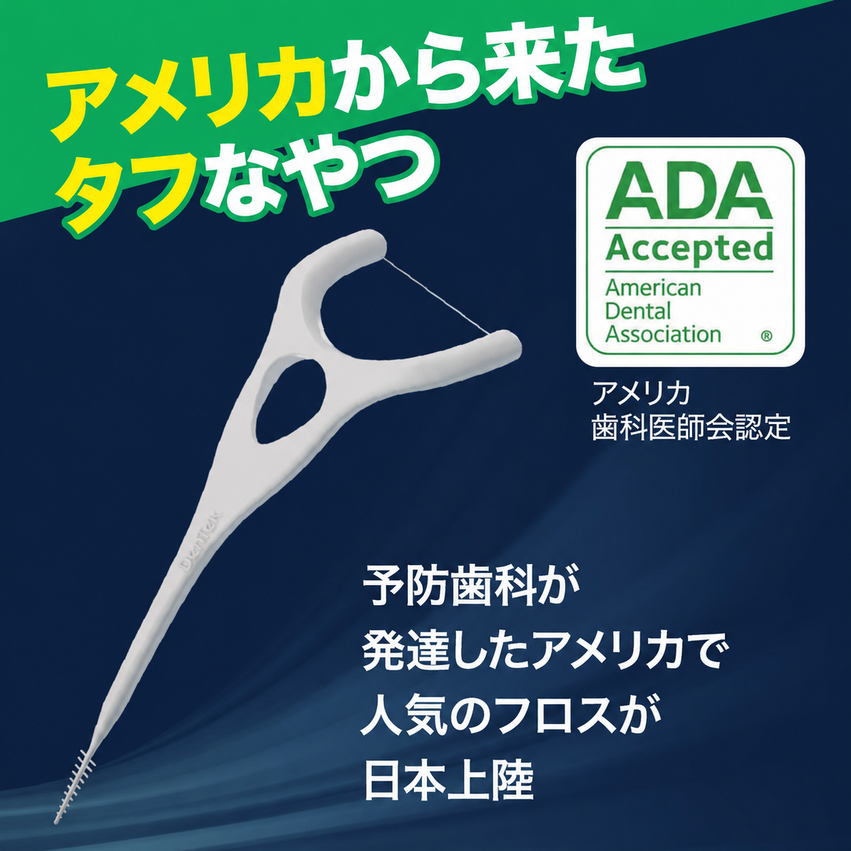コンプリートクリーン イージーリーチ dentek デンテック