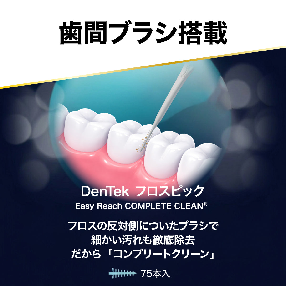 コンプリートクリーン イージーリーチ dentek デンテック