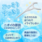 コンプリートクリーン イージーリーチ dentek デンテック