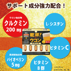 【ウコンサプリメント】乾杯!ウコンGOLD_YP PILLBOX SUPPLEMENTS ピルボックスサプリメント