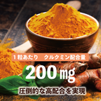 【ウコンサプリメント】乾杯!ウコンGOLD_YP PILLBOX SUPPLEMENTS ピルボックスサプリメント