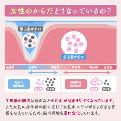 2025年9月16日発売開始【膣内洗浄】膣内洗浄2本入り1箱 と サマーズイブ デリケートゾーン用ソープ デイリーバランス 2本セット インナーショットジェル フェミニンウォッシュ マルチベネフィット