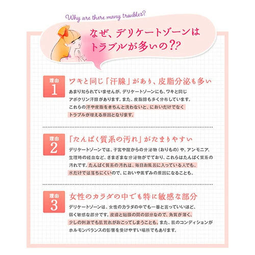 【フェミニンウォッシュ】フェミニン泡ウォッシュ 泡タイプでシリーズ史上最高のやさしい洗いごこち 泡タイプ デリゾ ボディソープ 石鹸 敏感肌 乾燥肌 保湿 かゆみ ニオイ 黒ずみ 肌トラブル サマーズイブ Summer's Eve
