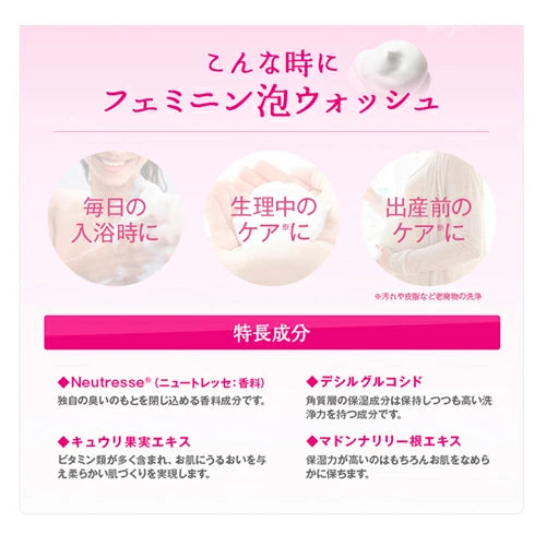 【フェミニンウォッシュ】フェミニン泡ウォッシュ 泡タイプでシリーズ史上最高のやさしい洗いごこち 泡タイプ デリゾ ボディソープ 石鹸 敏感肌 乾燥肌 保湿 かゆみ ニオイ 黒ずみ 肌トラブル サマーズイブ Summer's Eve