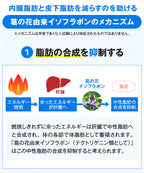 【サプリメント】önaka（おなか）_CP PILLBOX SUPPLEMENTS ピルボックスサプリメント