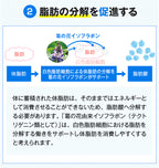 【サプリメント】önaka（おなか）_CP PILLBOX SUPPLEMENTS ピルボックスサプリメント