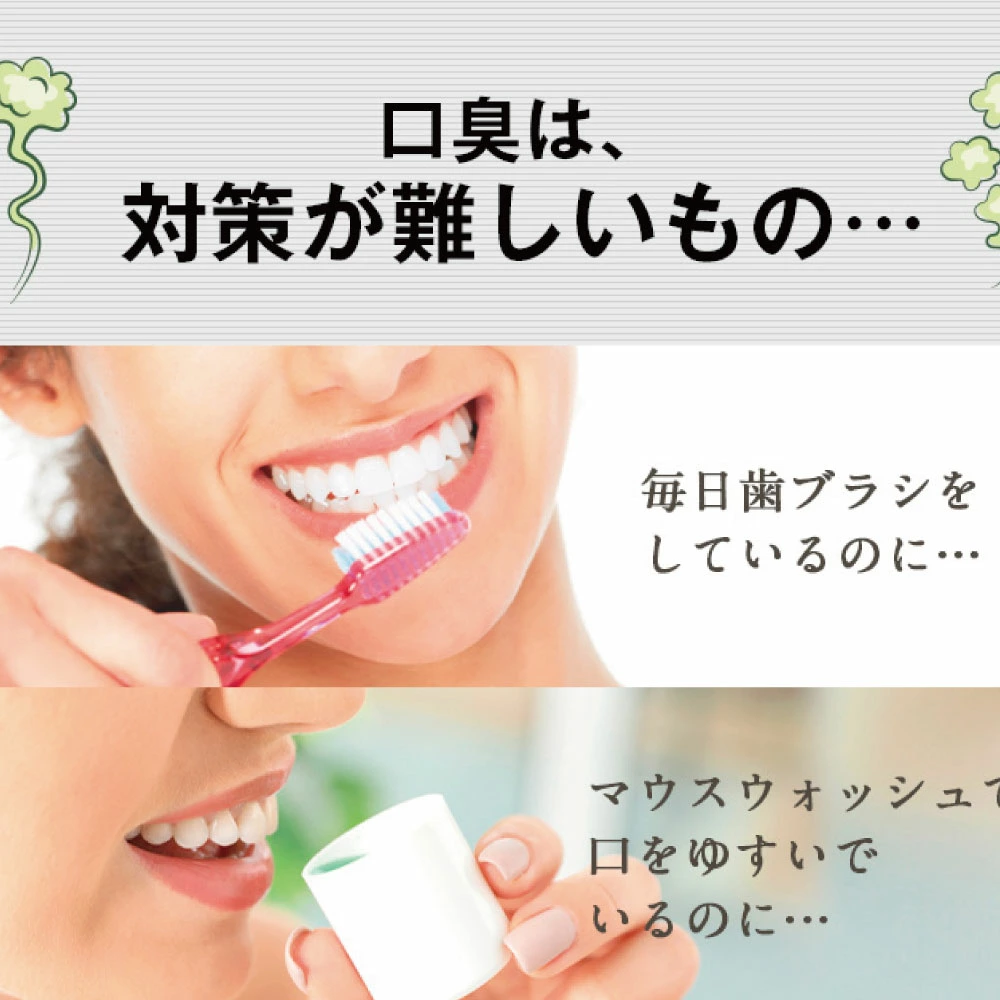 オーラブラシ dentek デンテック